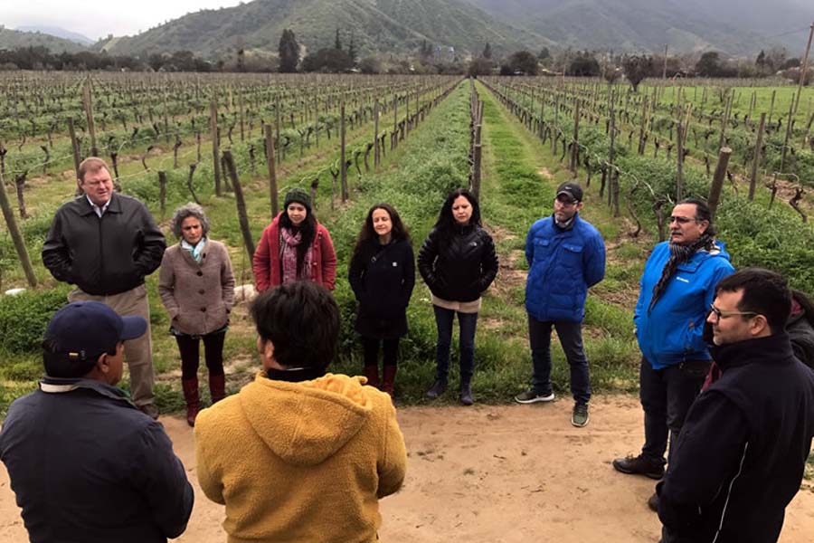 GEF Montaña promueve código de sustentabilidad para vinos