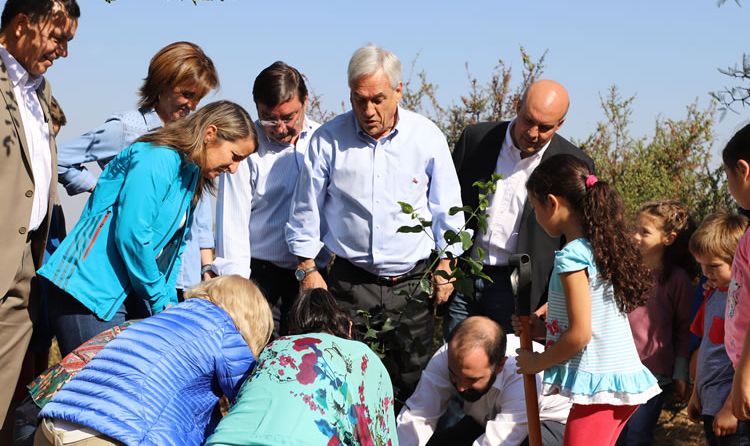 Director ONU Medio Ambiente y su visión de Chile: «Tienen un sistema maduro»