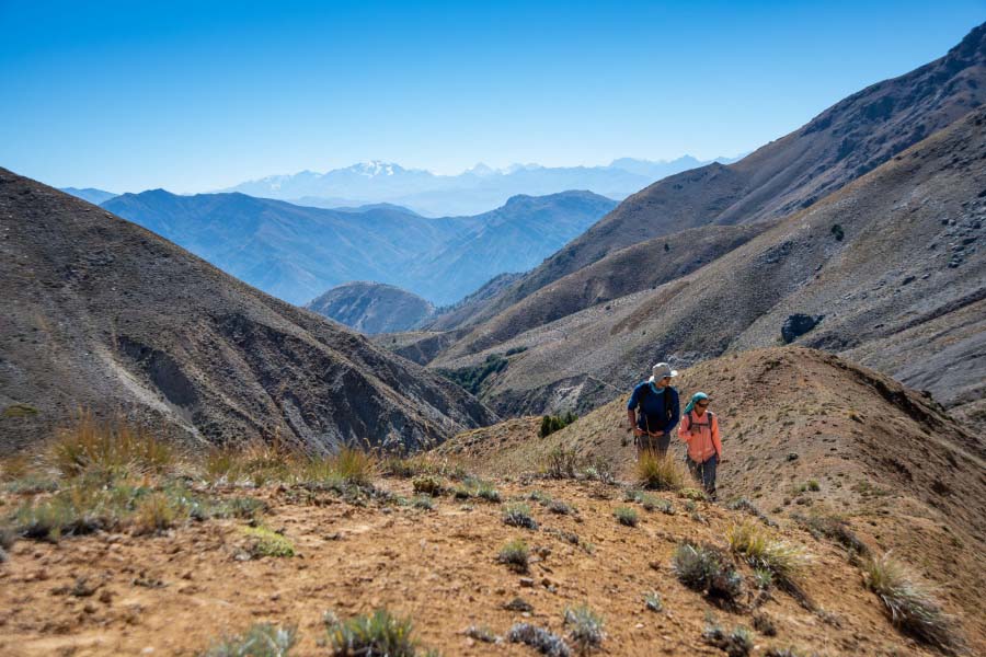 Investigador internacional de Red GLORIA-Andes visitó el primer sitio de monitoreo de flora altoandina del país