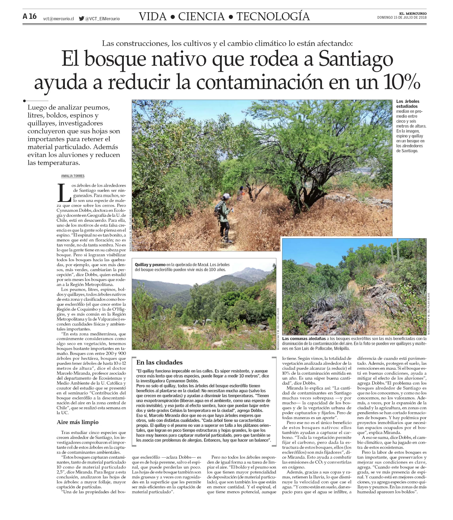 El bosque nativo que rodea Santiago ayuda a reducir la contaminación en un 10 %