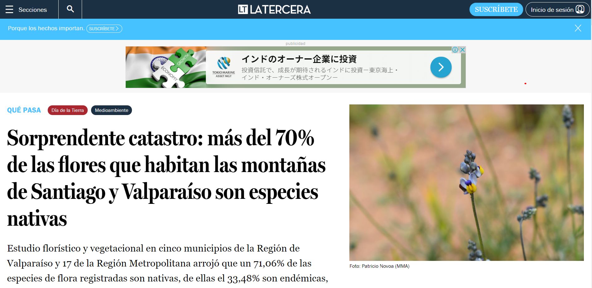 Sorprendente catastro: más del 70% de las flores que habitan las montañas de Santiago y Valparaíso son especies nativas