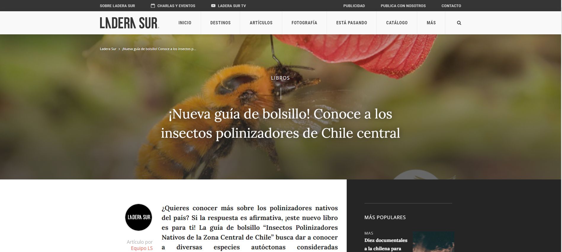 ¡Nueva Guía de bolsillo! Conoce los insectos polinizadores de Chile central