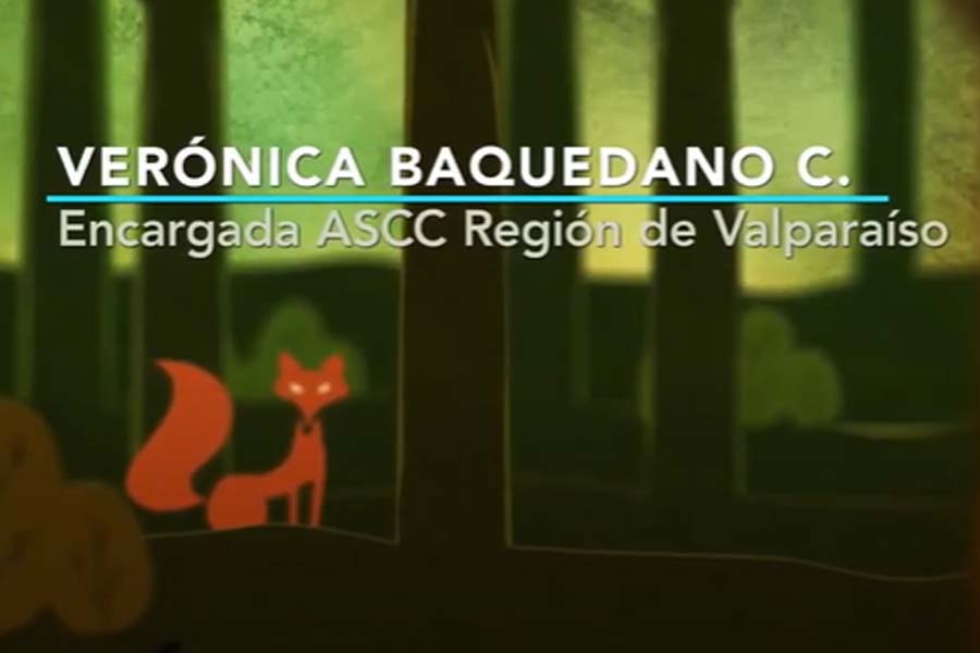 Verónica Baquedano: Desarrollo y resultados del APL de Bosques de la V Región (2015 – 2020).