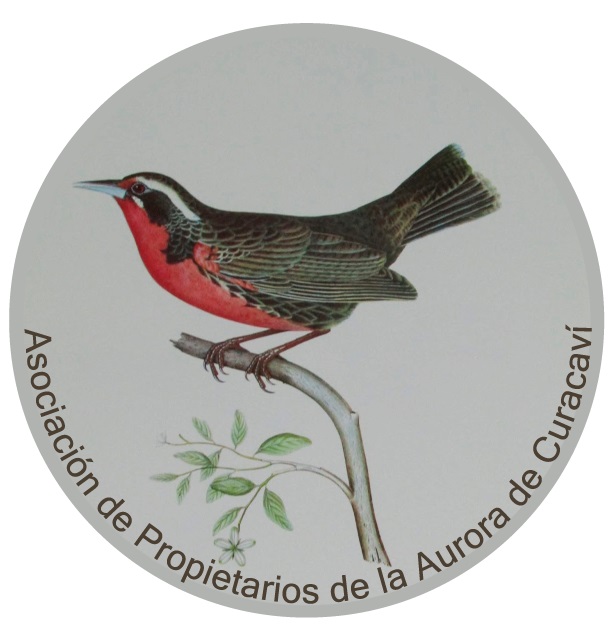 Logo Agrupación la Aurora de Curacaví