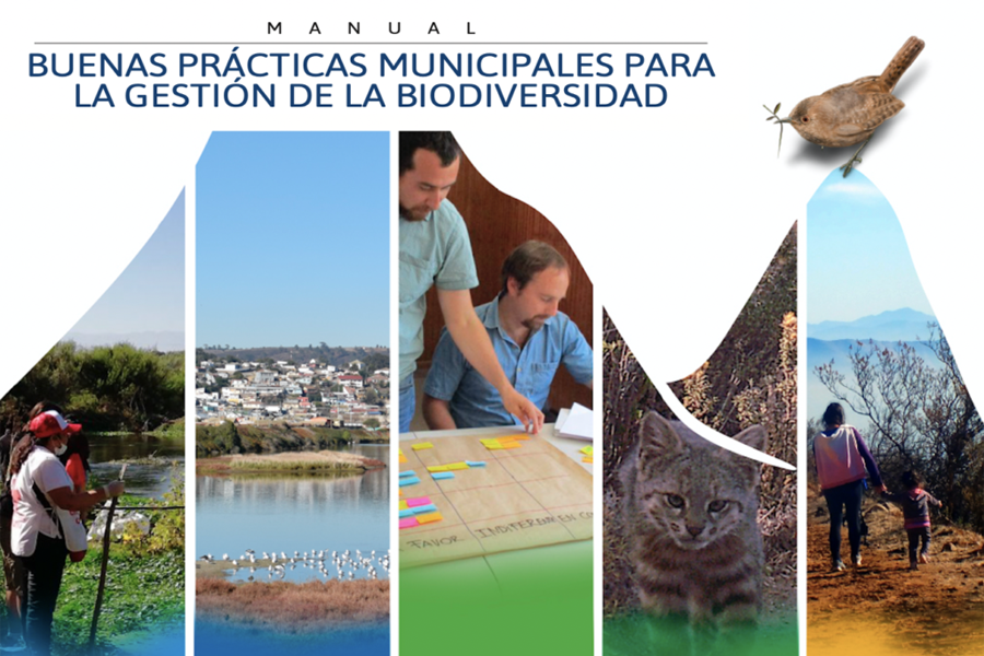 Municipios se unen para compartir en un manual sus experiencias de gestión municipal para conservar la biodiversidad local