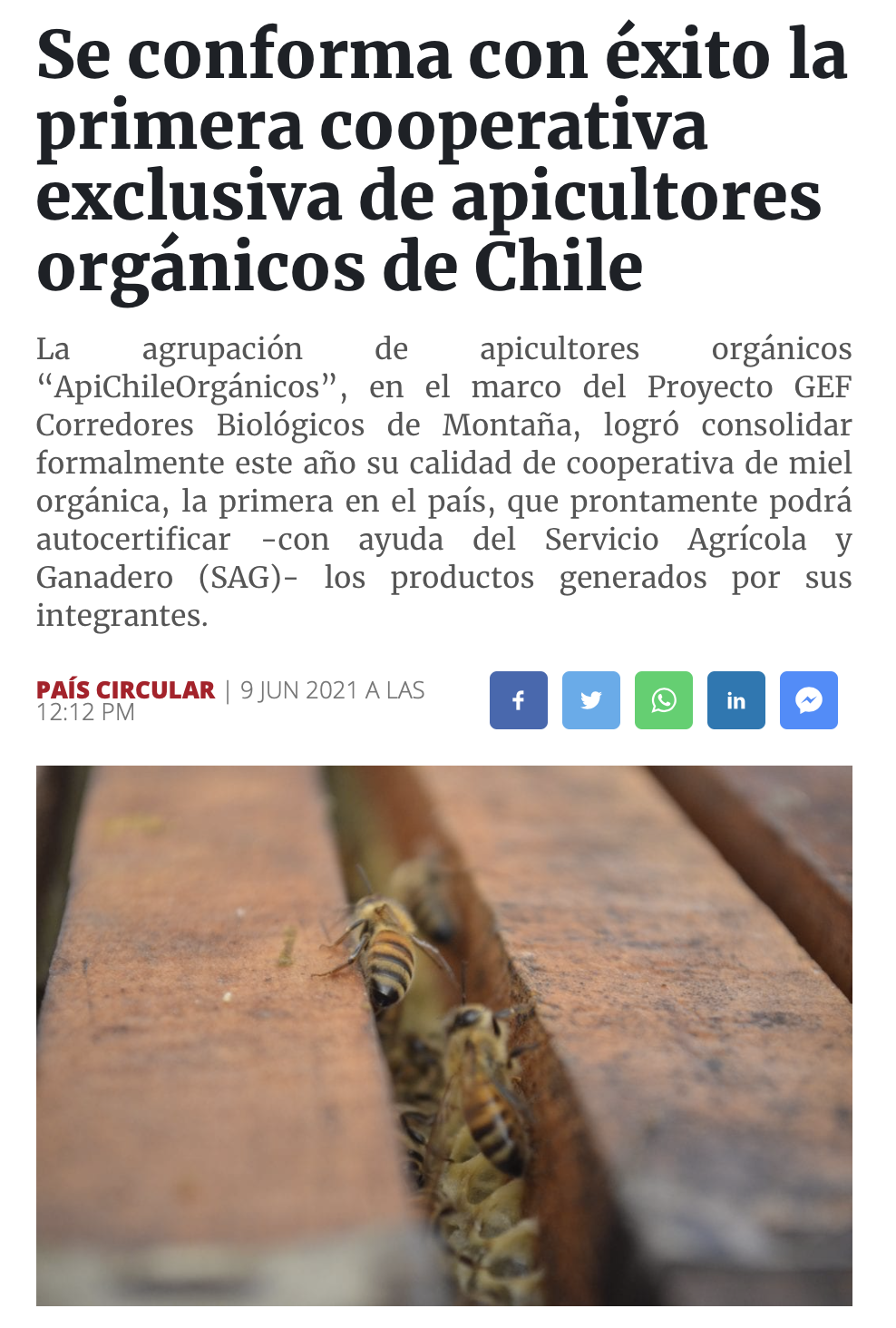 Se conforma con éxito la primera cooperativa exclusiva de apicultores orgánicos de Chile
