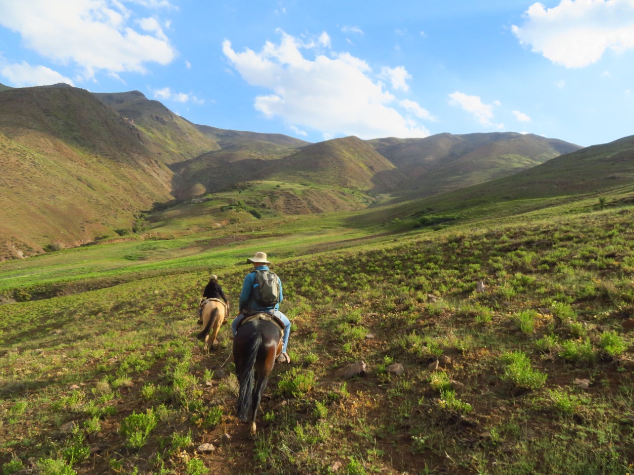 Lecciones aprendidas de cómo conciliar la ganadería extensiva con la recuperación de los ecosistemas de montaña