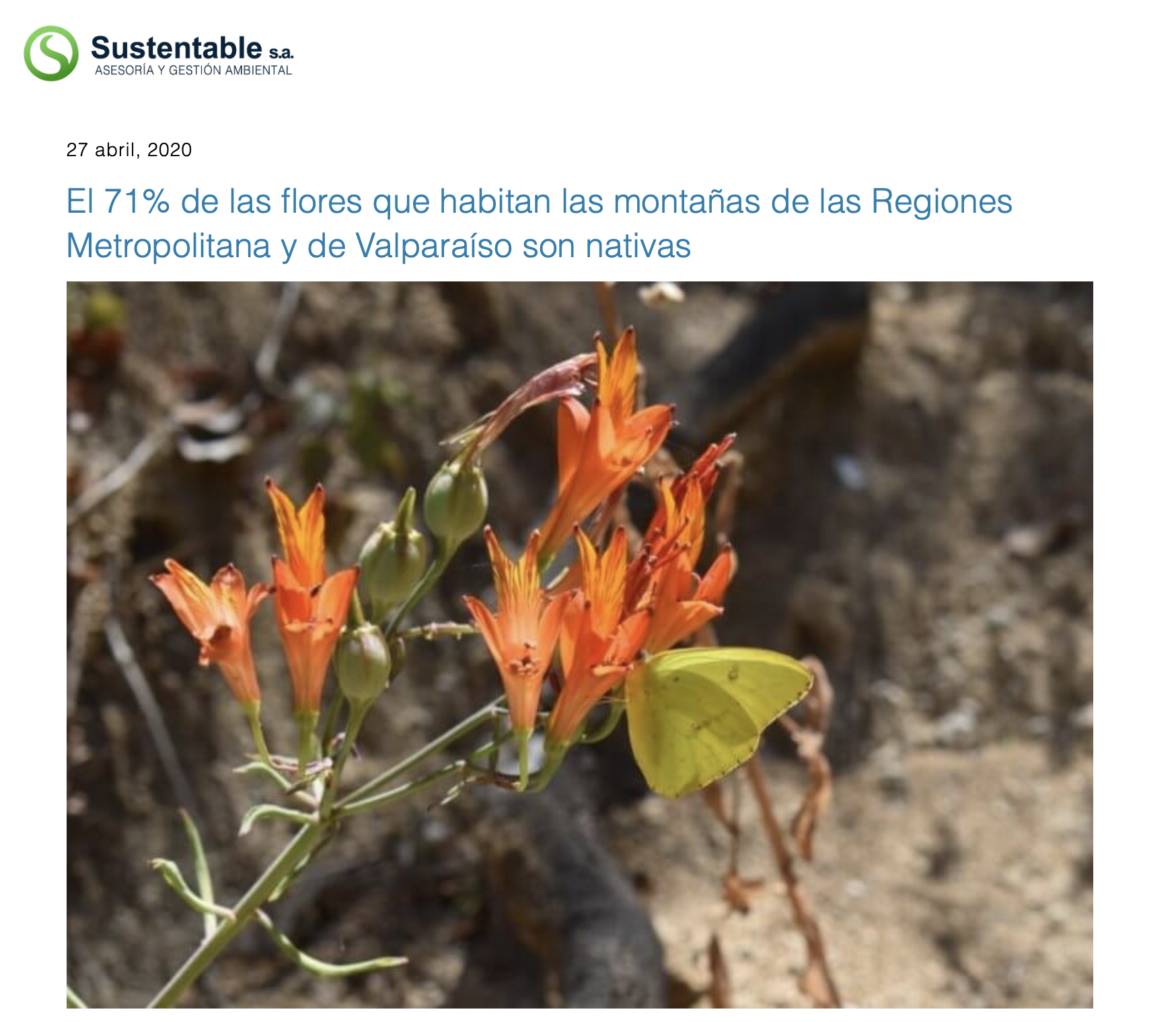 El 71% de las flores que habitan las montañas de las Regiones Metropolitana y de Valparaíso son nativas