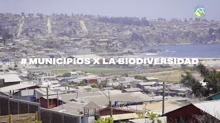 #MunicipiosxLaBiodiversidad Cartagena