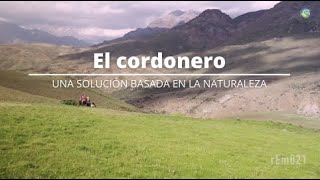 Ganadería Sustentable #2: El Cordonero, una solución basada en la naturaleza