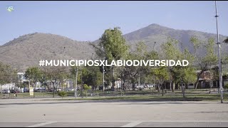 #MunicipiosXLaBiodiversidad Huechuraba