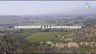 #MunicipiosXLaBiodiversidad El Monte