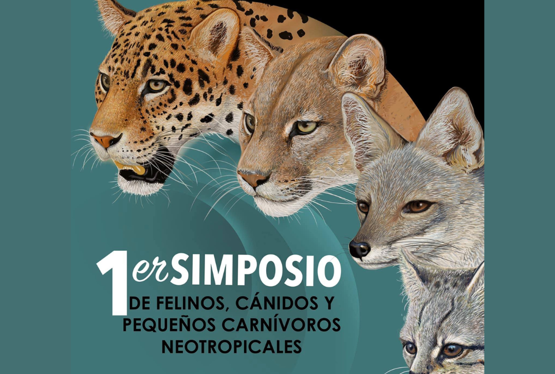 1er Simposio de Carnívoros Neotropicales, exposición de PhD. Petra Wallem.