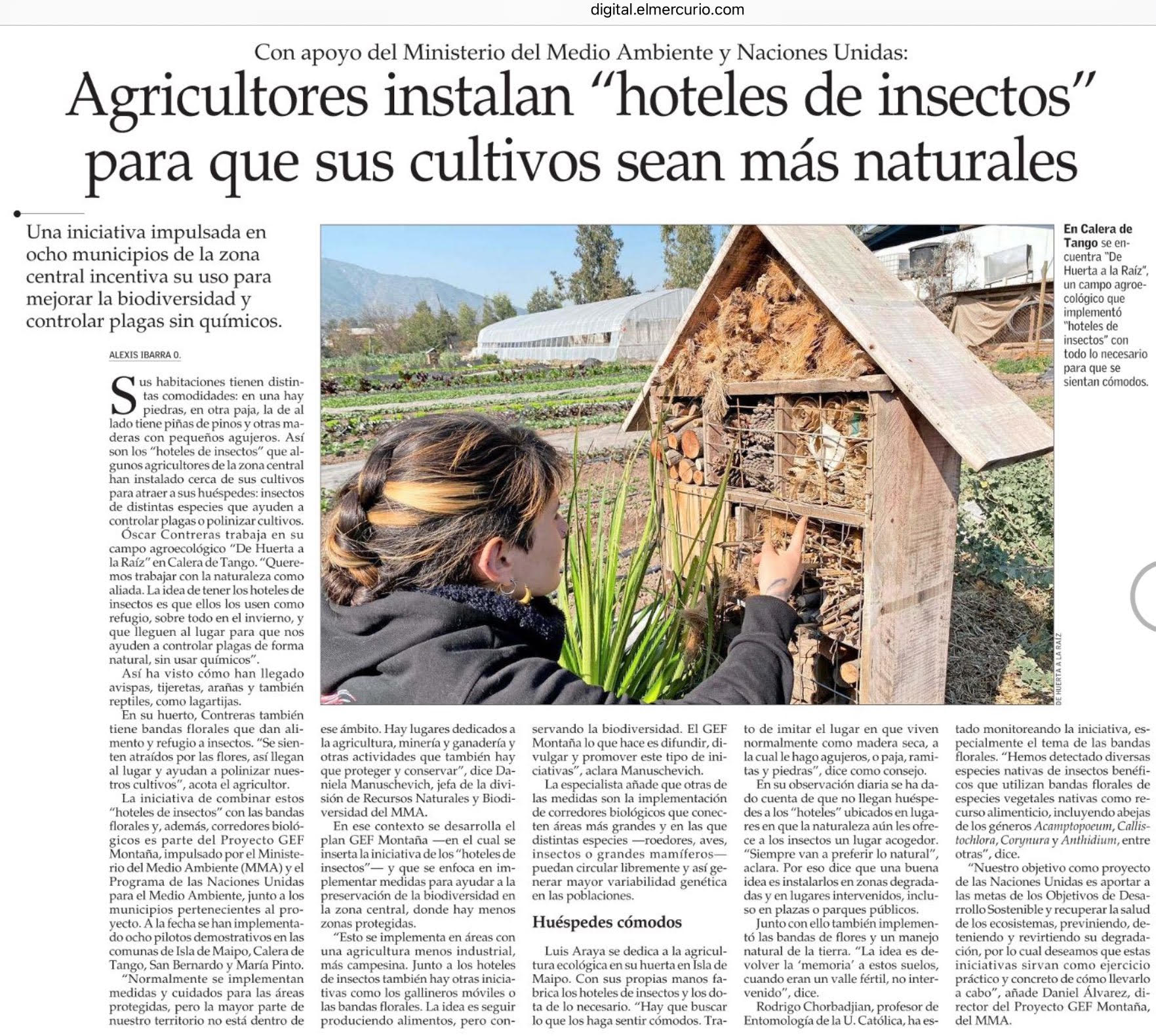 Agricultores instalan «hoteles de insectos» para que sus cultivos sean más naturales
